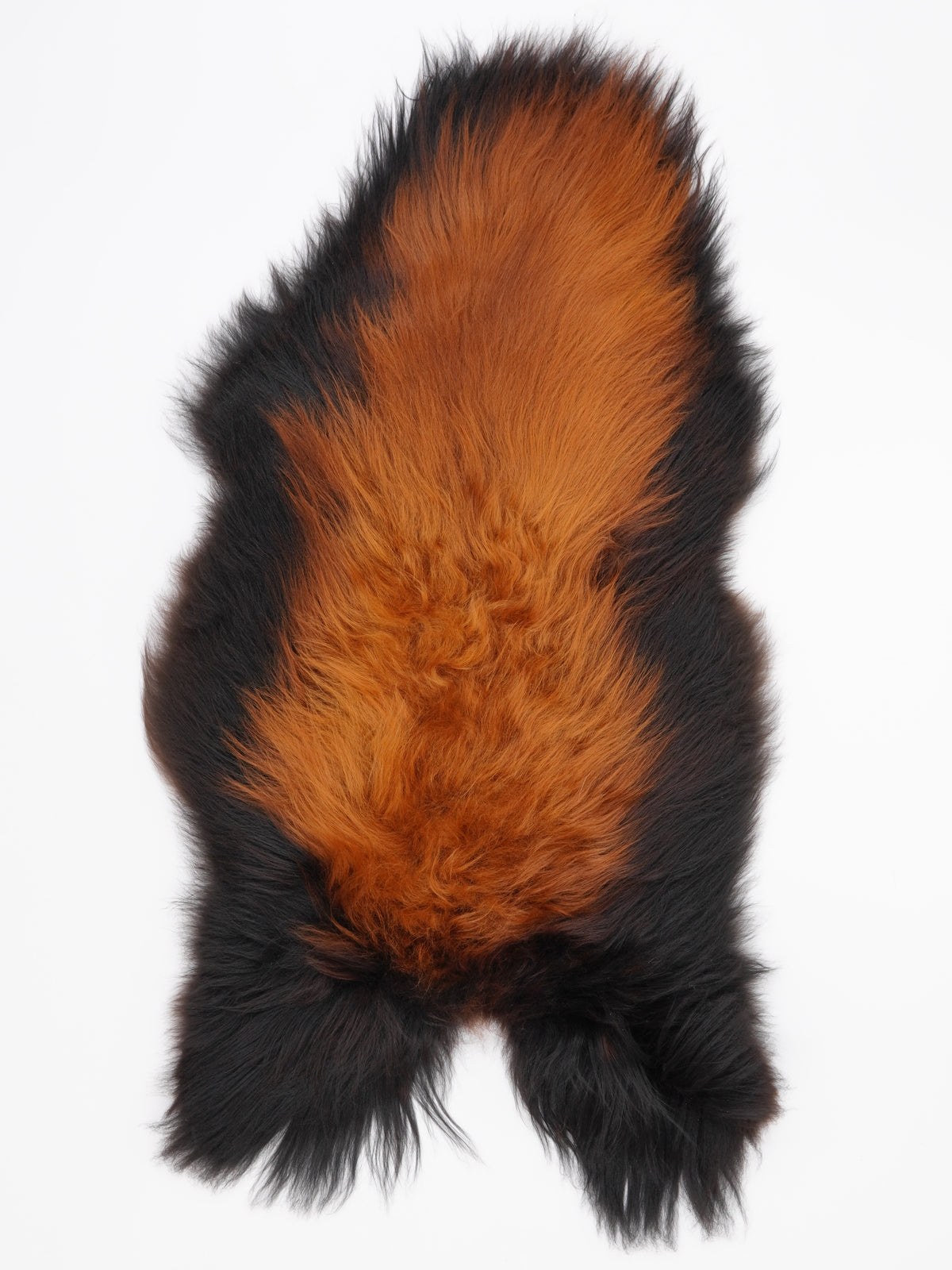 Peau de mouton islandaise XL