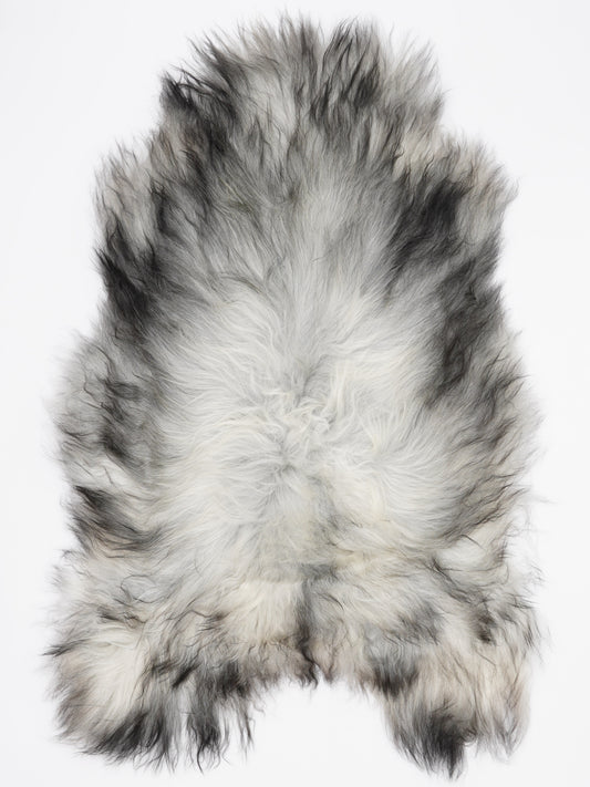 Peau de mouton islandaise XL