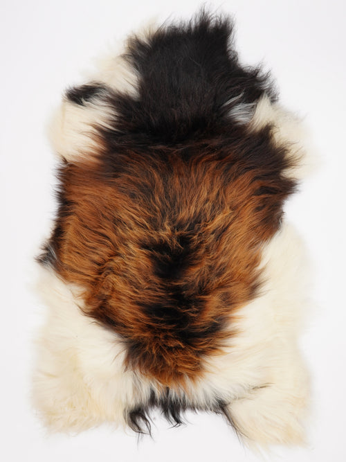 Peau de mouton islandaise XL