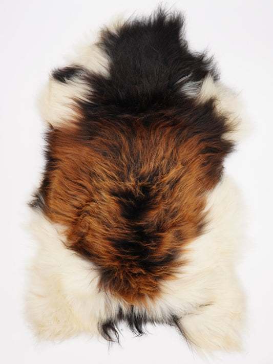 Peau de mouton islandaise XL