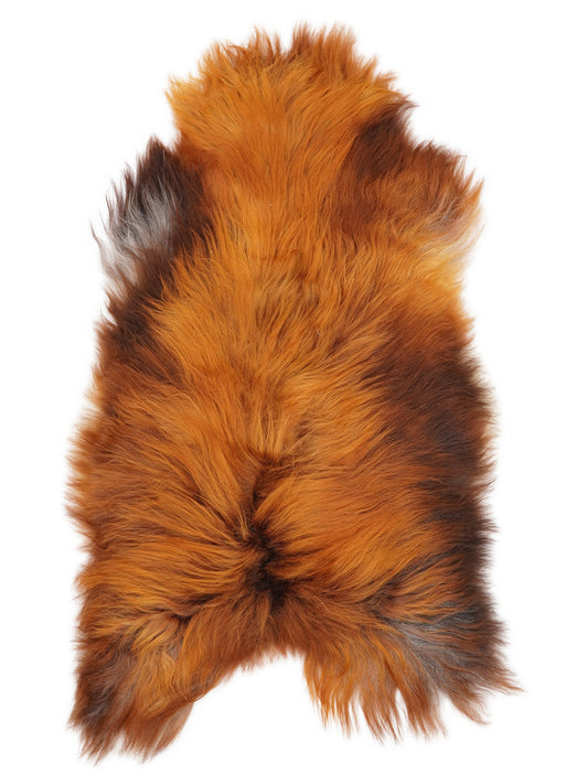 Peau de mouton islandaise XL