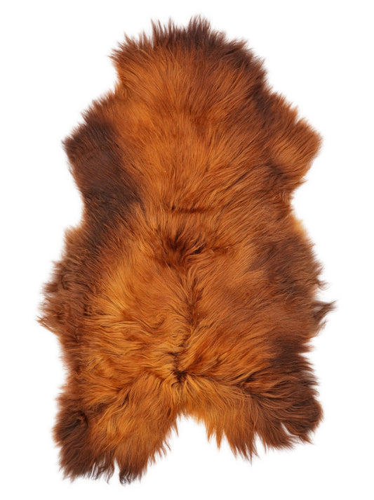 Peau de mouton islandaise XL