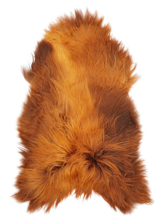 Peau de mouton islandaise XXL