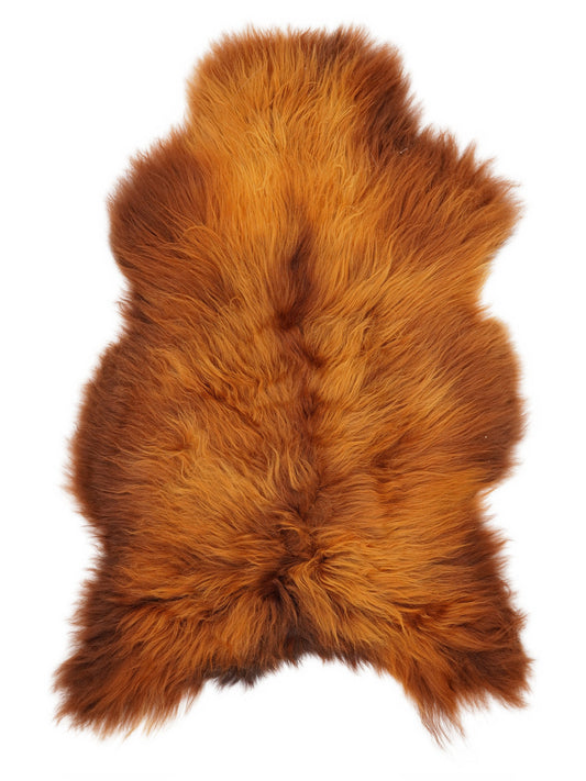 Peau de mouton islandaise XL