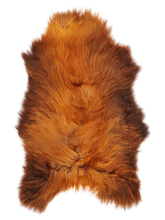 Peau de mouton islandaise XXL