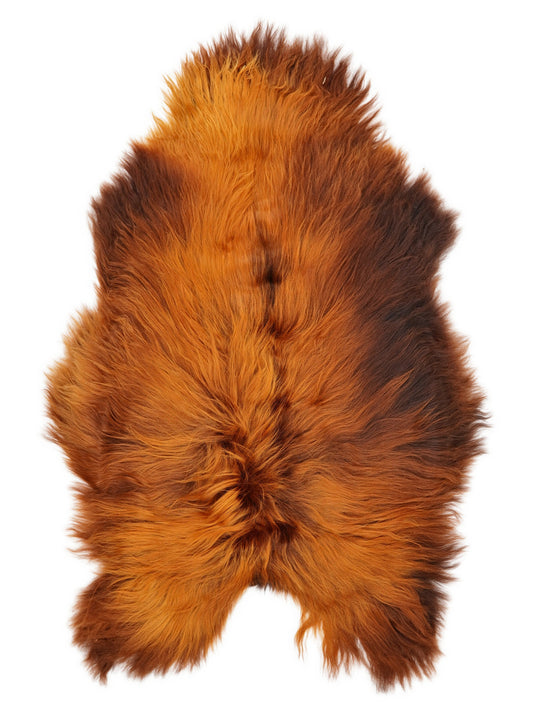 Peau de mouton islandaise XXL