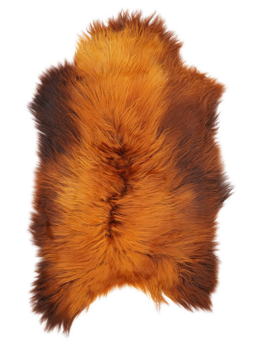 Peau de mouton islandaise XL