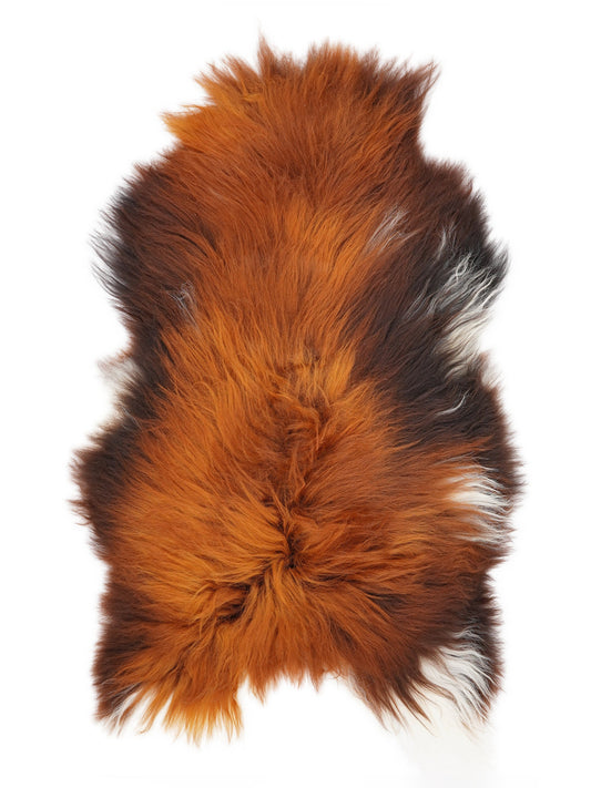 Peau de mouton islandaise XL