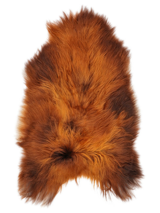 Peau de mouton islandaise XXL