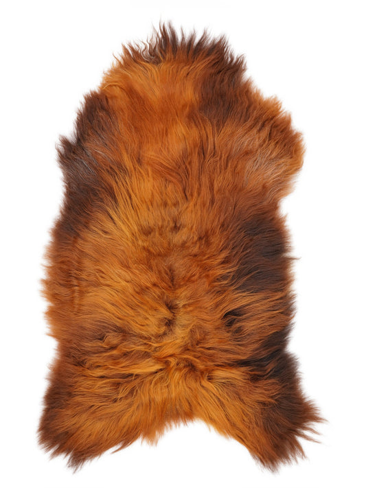 Peau de mouton islandaise XXL