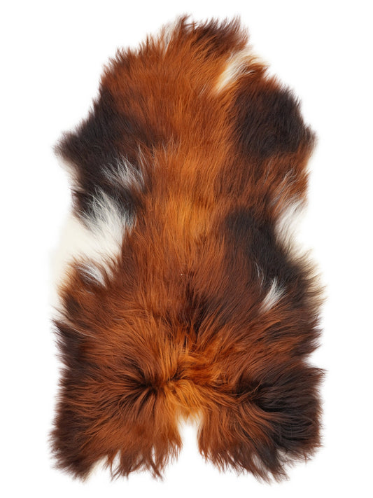 Peau de mouton islandaise XL