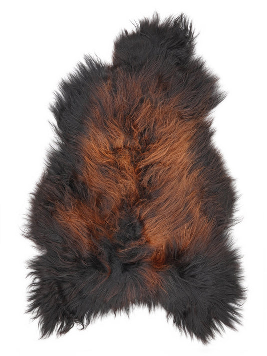 Peau de mouton islandaise XL