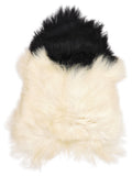 Peau de mouton islandaise M