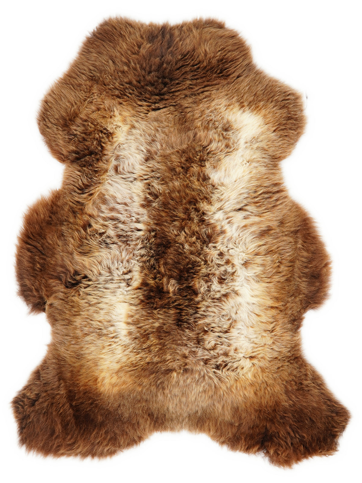 Peau de mouton multicolore britannique d’environ 110 × 70 cm, vue de dessus : exactement la peau que vous recevez
