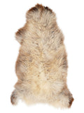Peau de mouton multicolore britannique d’environ 130 × 60 cm, vue de dessus : exactement la peau que vous recevez