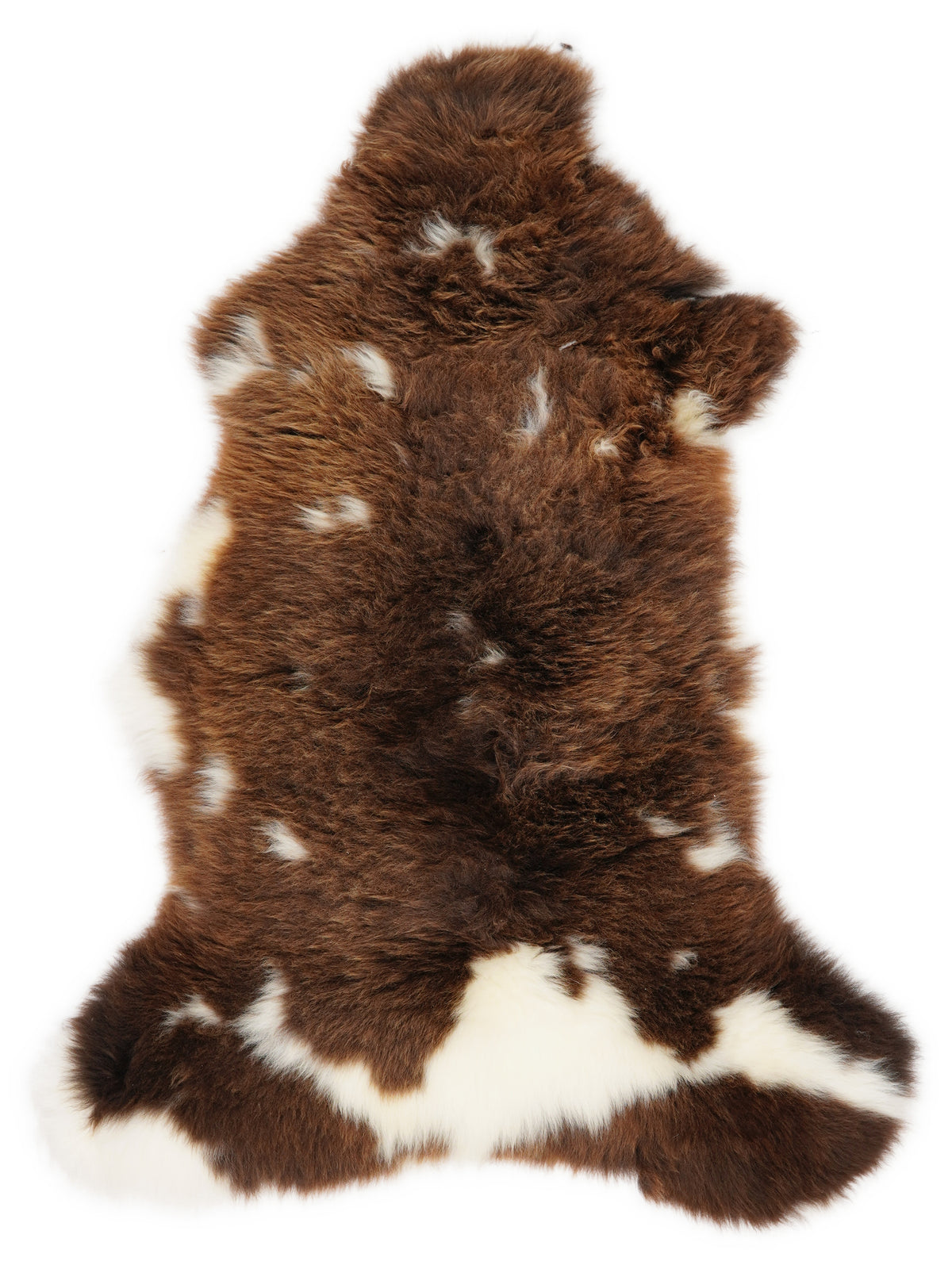 Peau de mouton multicolore britannique d’environ 110 × 55 cm, vue de dessus : exactement la peau que vous recevez