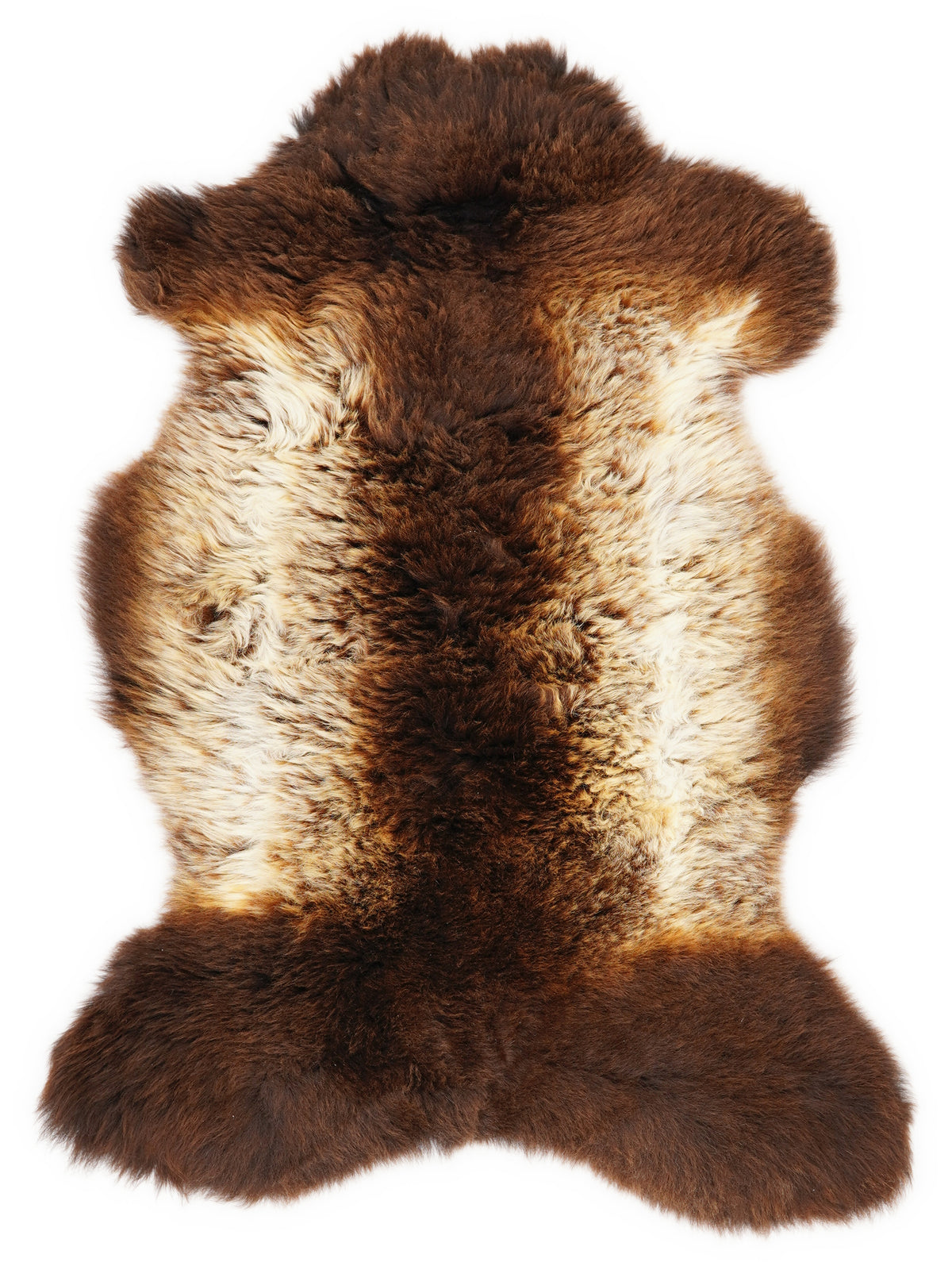 Peau de mouton multicolore britannique d’environ 95 × 55 cm, vue de dessus : exactement la peau que vous recevez