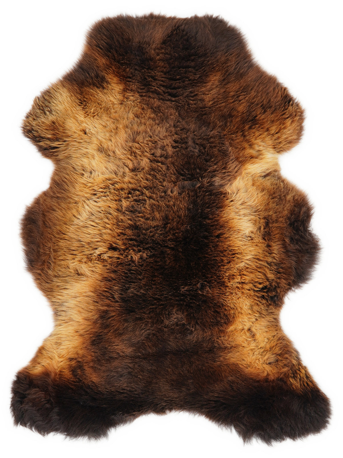 Peau de mouton multicolore britannique d’environ 110 × 70 cm, vue de dessus : exactement la peau que vous recevez