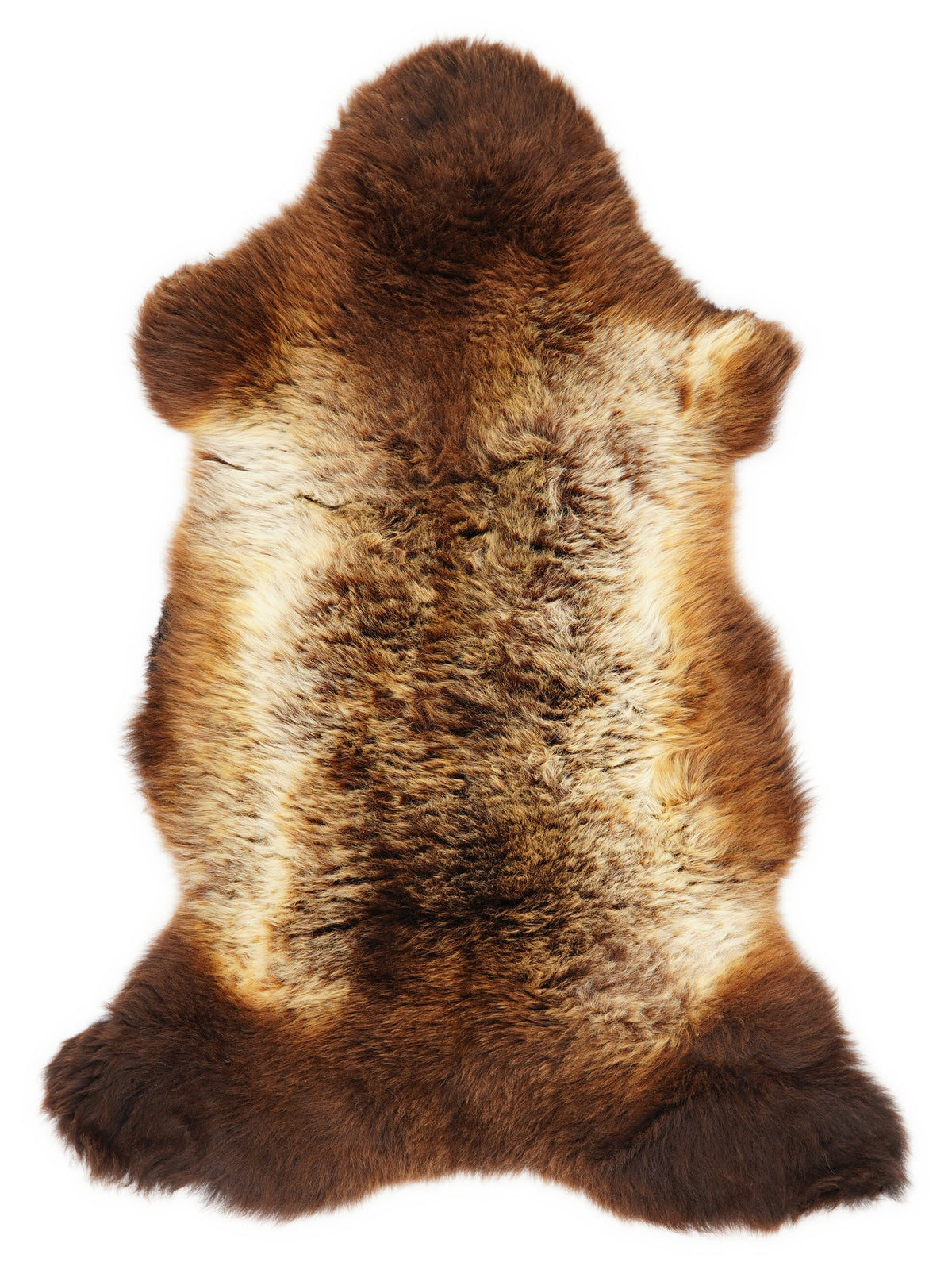 Peau de mouton multicolore britannique d’environ 115 × 60 cm, vue de dessus : exactement la peau que vous recevez