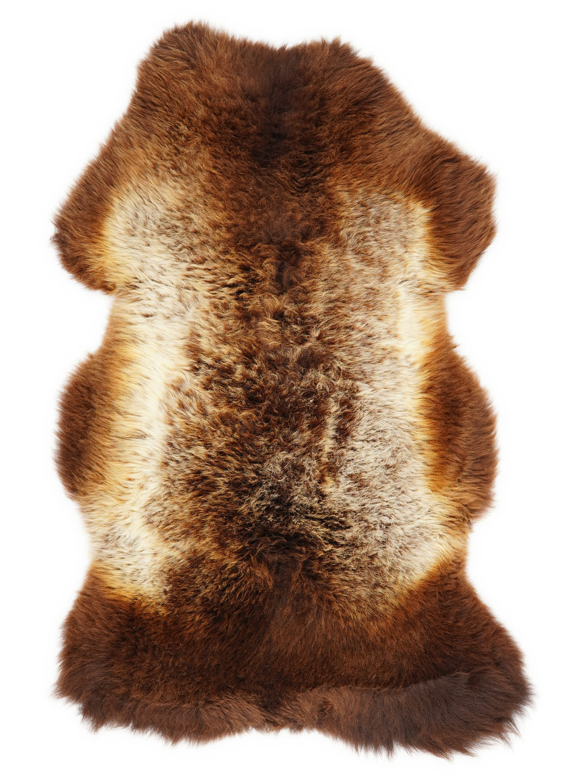 Peau de mouton multicolore britannique d’environ 110 × 60 cm, vue de dessus : exactement la peau que vous recevez