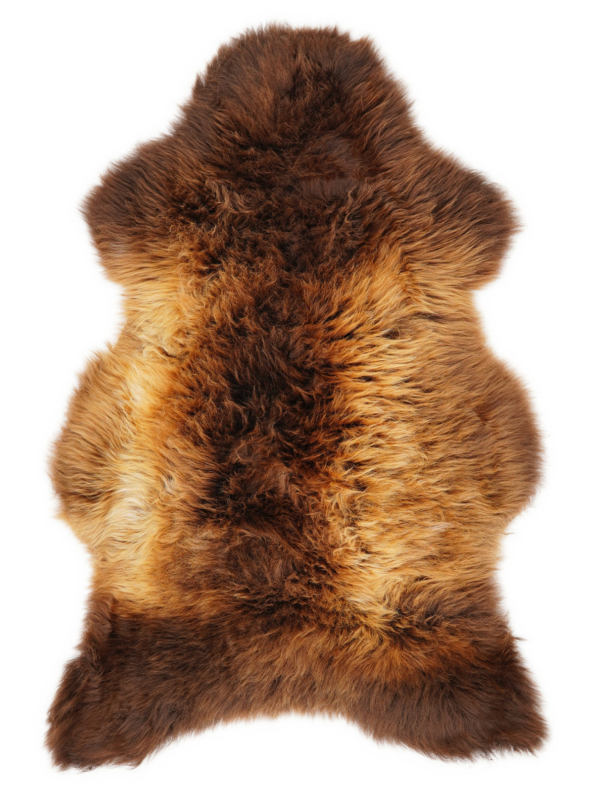 Peau de mouton multicolore britannique d’environ 115 × 70 cm, vue de dessus : exactement la peau que vous recevez