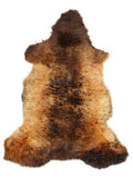 Peau de mouton multicolore britannique d’environ 110 × 60 cm, vue de dessus : exactement la peau que vous recevez