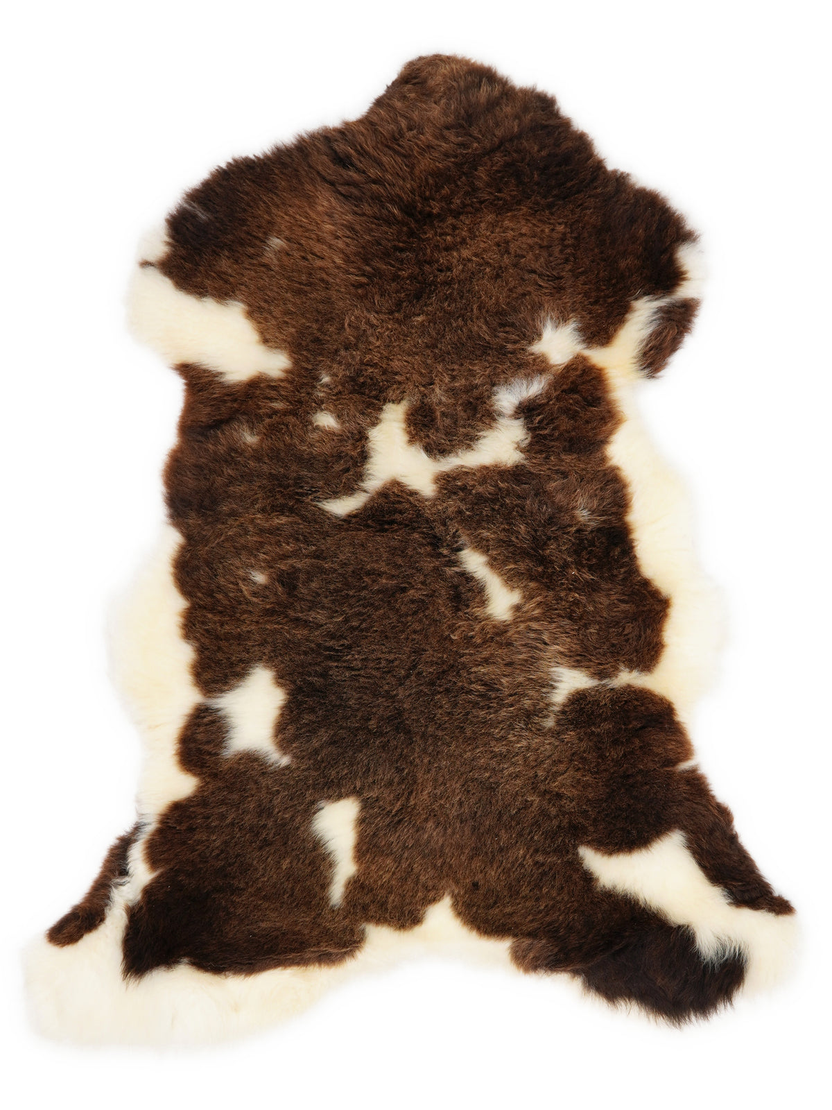 Peau de mouton multicolore britannique d’environ 105 × 65 cm, vue de dessus : exactement la peau que vous recevez