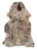 Peau de mouton multicolore britannique d’environ 140 × 75 cm, vue de dessus : exactement la peau que vous recevez