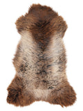 Peau de mouton multicolore britannique d’environ 120 × 60 cm, vue de dessus : exactement la peau que vous recevez