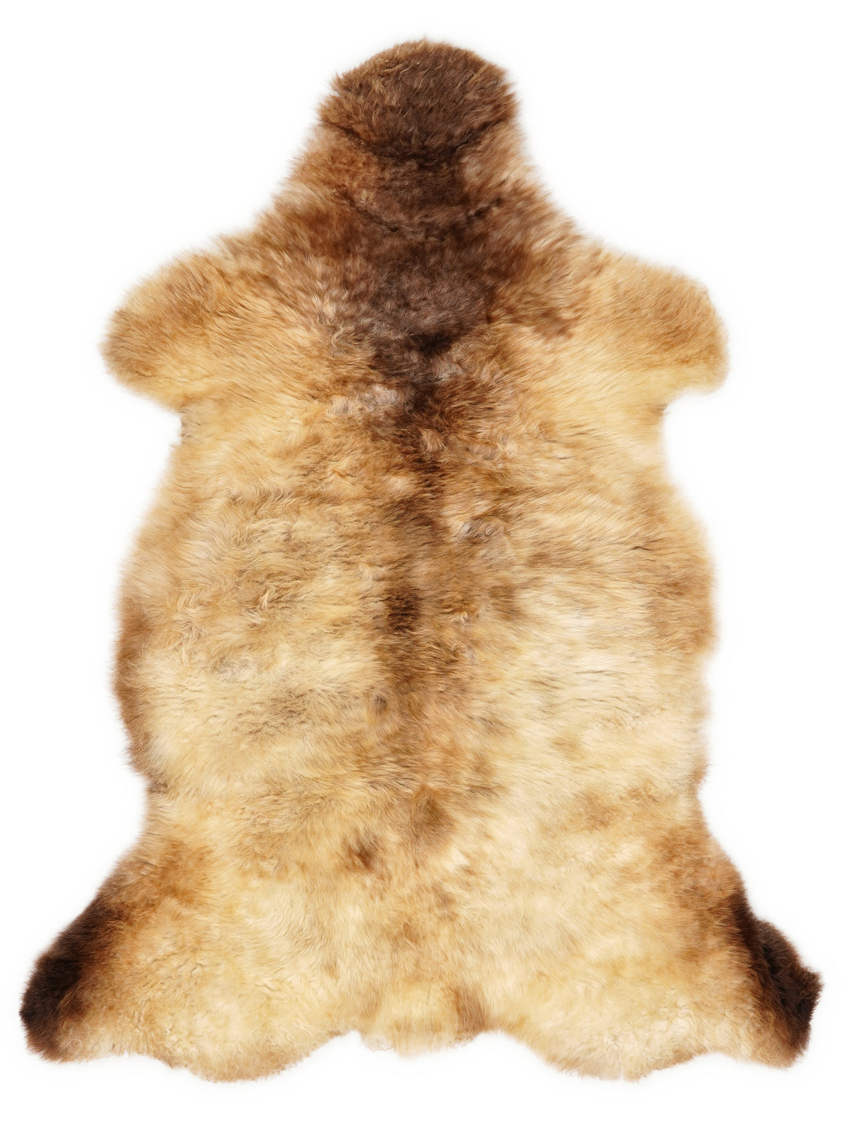 Peau de mouton multicolore britannique d’environ 110 × 60 cm, vue de dessus : exactement la peau que vous recevez