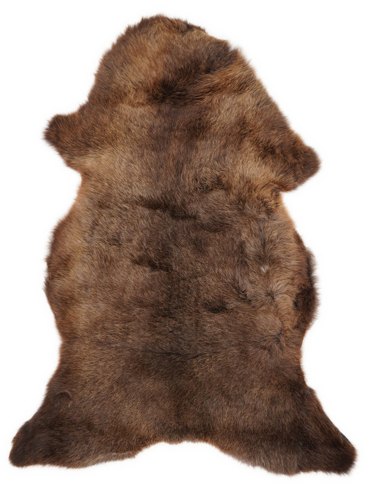 Peau de mouton multicolore britannique d’environ 115 × 60 cm, vue de dessus : exactement la peau que vous recevez