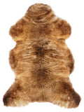 Peau de mouton multicolore britannique d’environ 115 × 65 cm, vue de dessus : exactement la peau que vous recevez