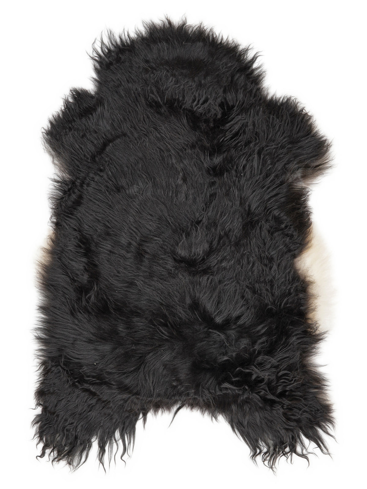 Peau de mouton islandaise multicolore d’environ 120 × 75 cm, vue de dessus : exactement la peau que vous recevez