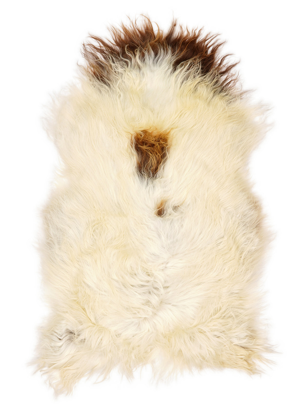Peau de mouton islandaise multicolore d’environ 130 × 80 cm, vue de dessus : exactement la peau que vous recevez