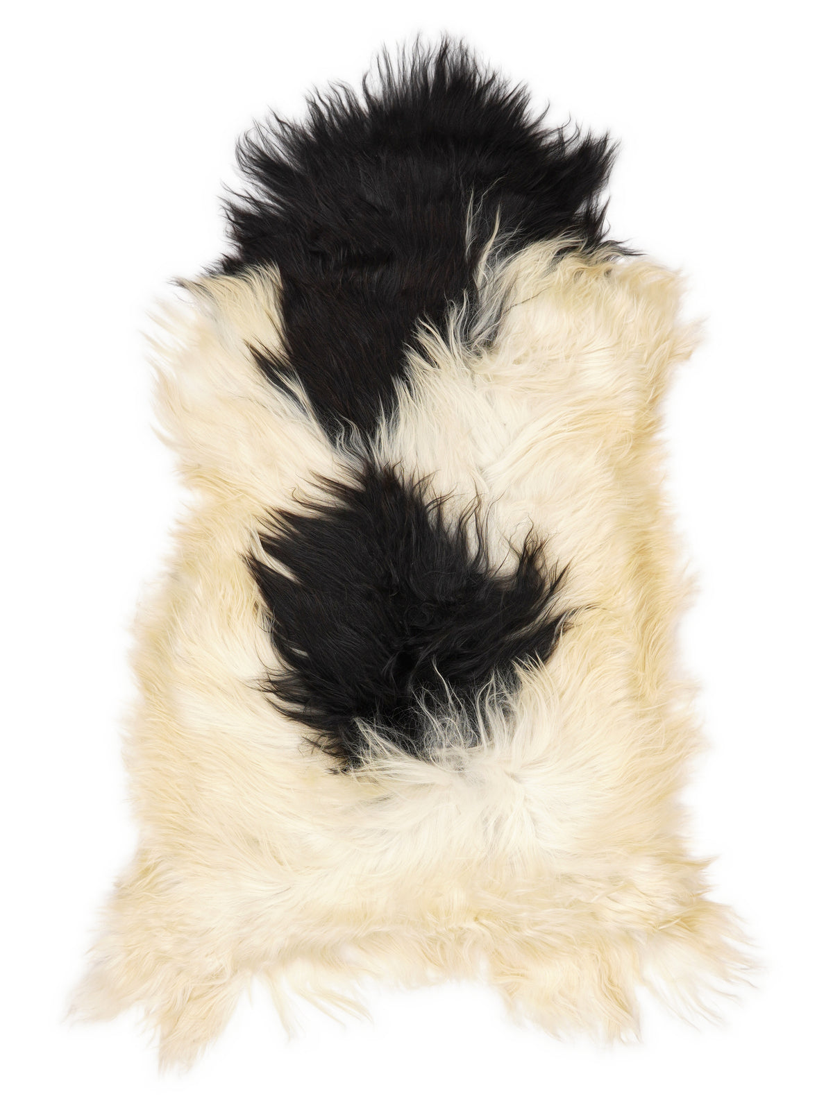 Peau de mouton islandaise multicolore d’environ 120 × 60 cm, vue de dessus : exactement la peau que vous recevez