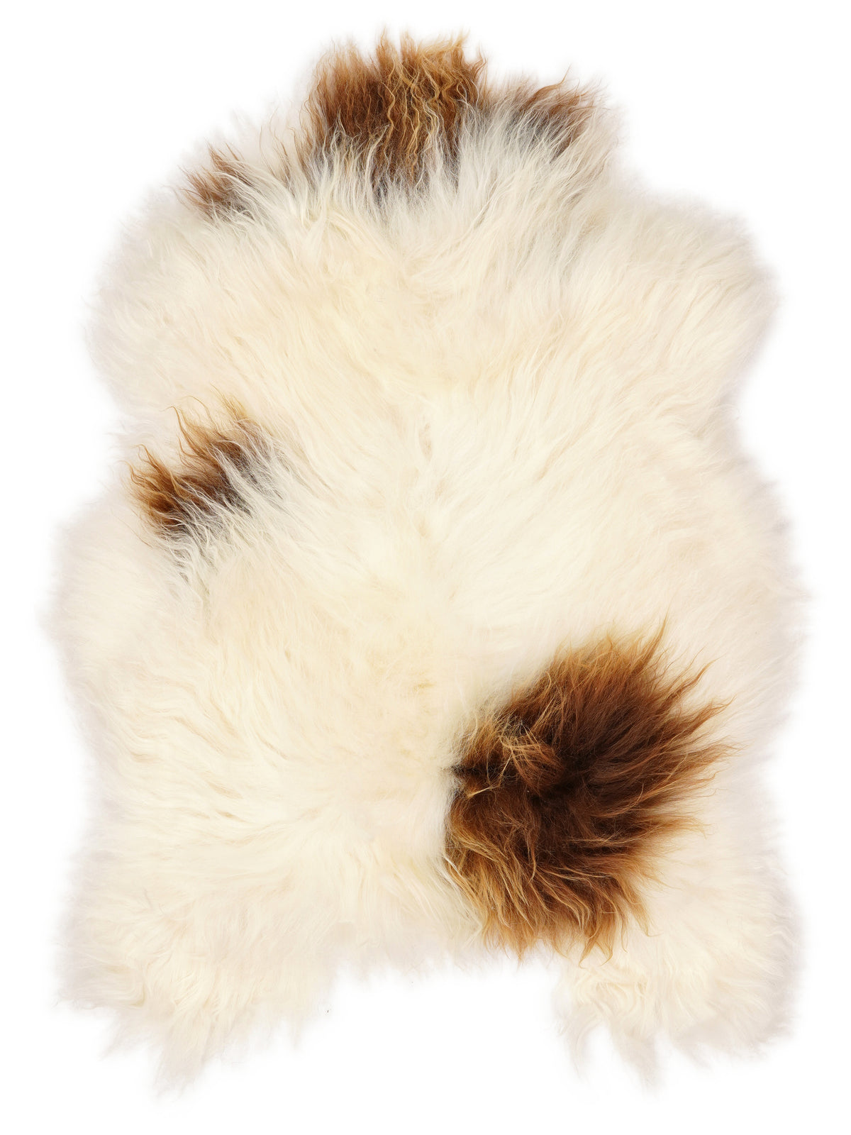 Peau de mouton islandaise multicolore d’environ 110 × 75 cm, vue de dessus : exactement la peau que vous recevez