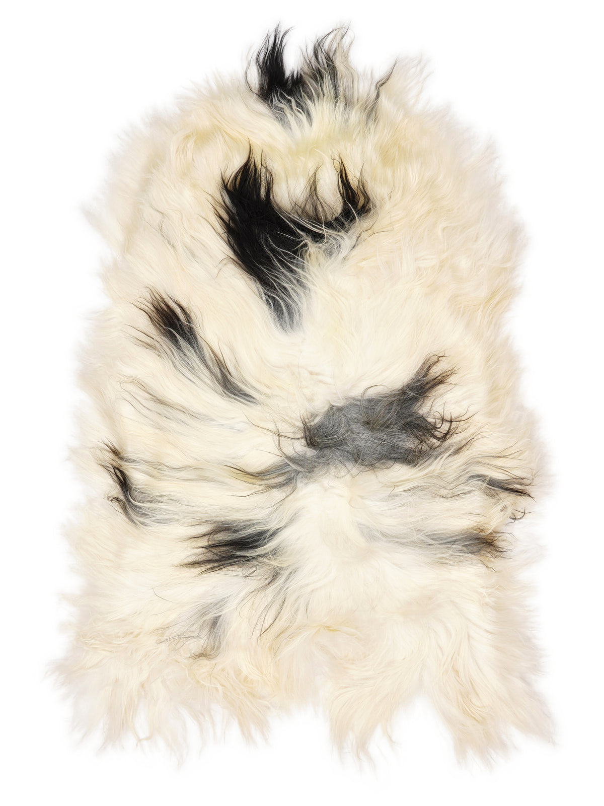 Peau de mouton islandaise multicolore d’environ 120 × 75 cm, vue de dessus : exactement la peau que vous recevez