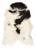 Peau de mouton islandaise multicolore d’environ 120 × 70 cm, vue de dessus : exactement la peau que vous recevez