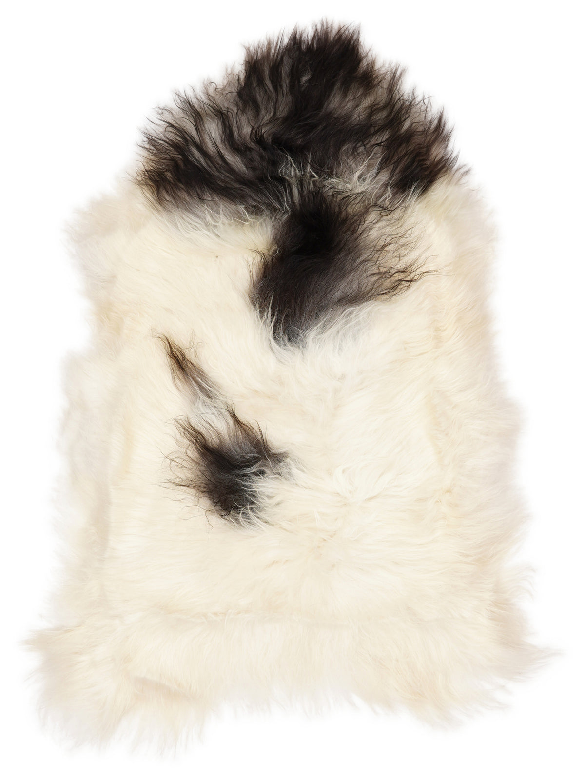 Peau de mouton islandaise multicolore d’environ 110 × 70 cm, vue de dessus : exactement la peau que vous recevez