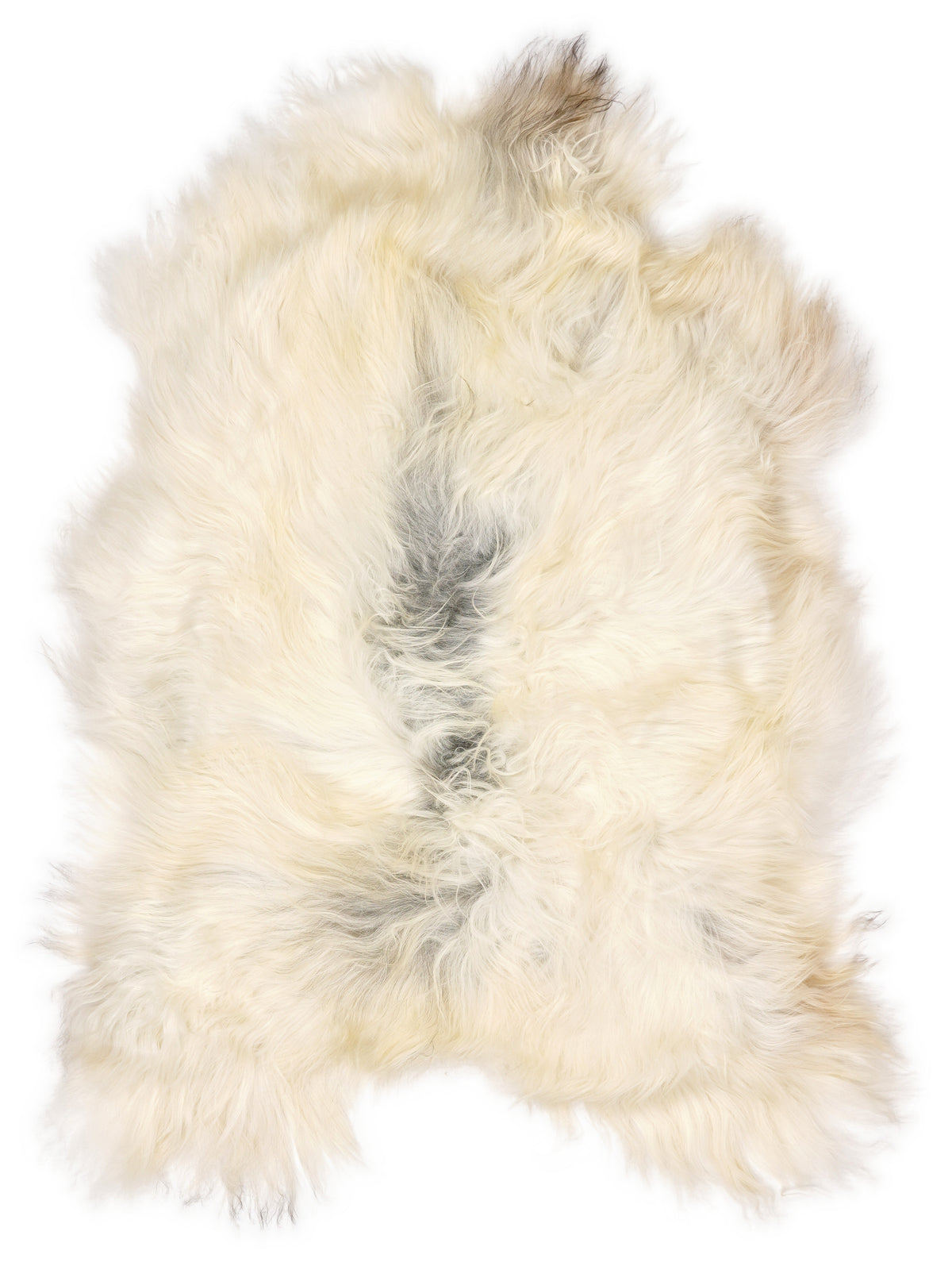 Peau de mouton islandaise multicolore d’environ 110 × 75 cm, vue de dessus : exactement la peau que vous recevez