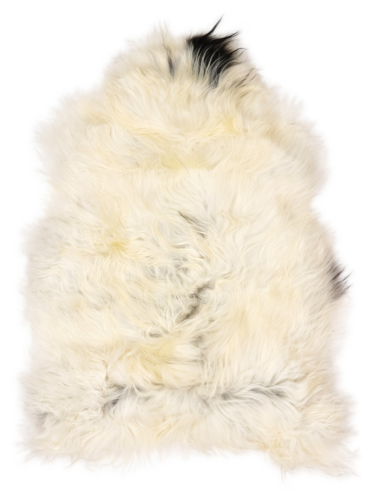 Peau de mouton islandaise multicolore d’environ 110 × 75 cm, vue de dessus : exactement la peau que vous recevez