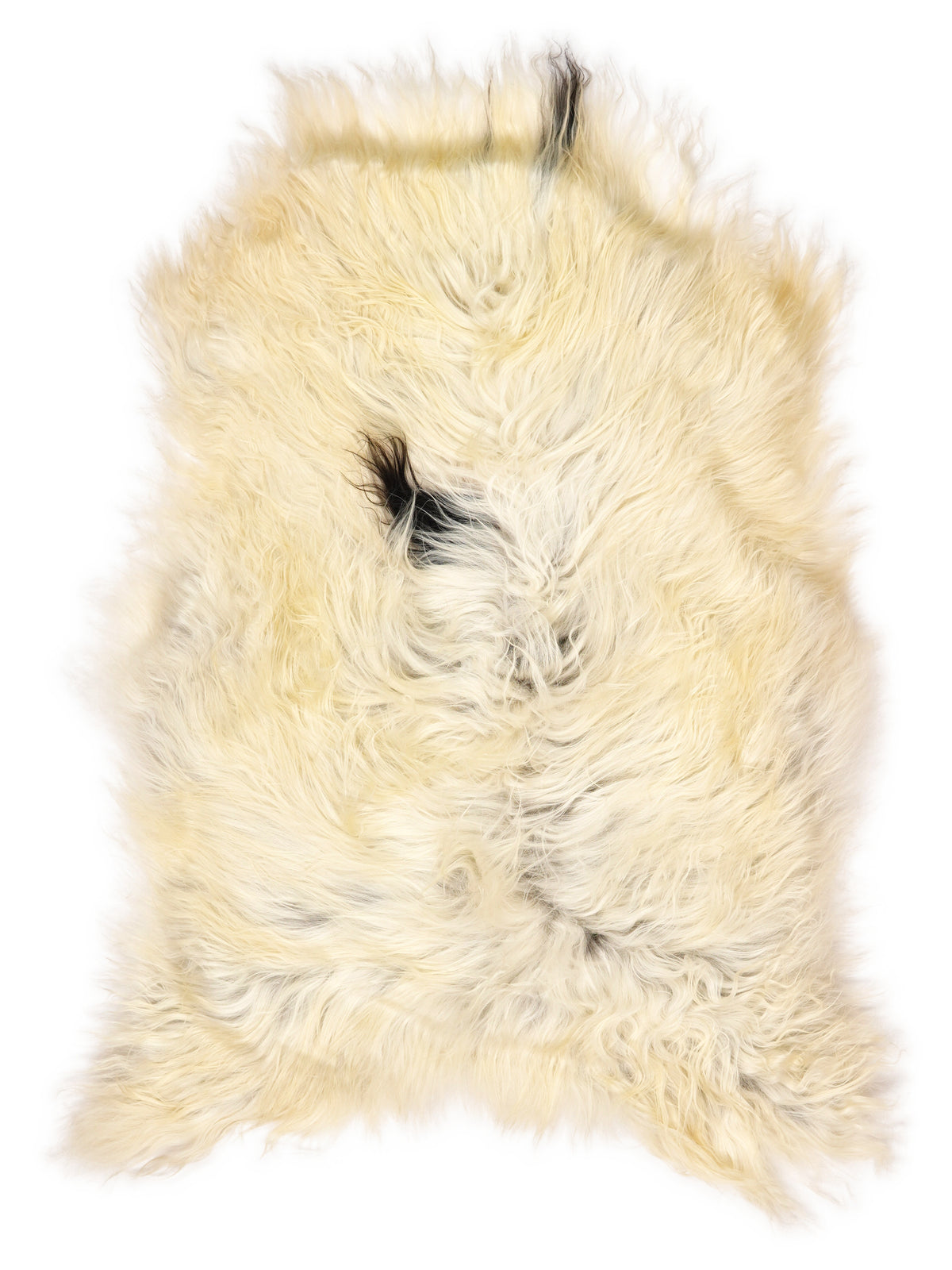 Peau de mouton islandaise multicolore d’environ 115 × 75 cm, vue de dessus : exactement la peau que vous recevez