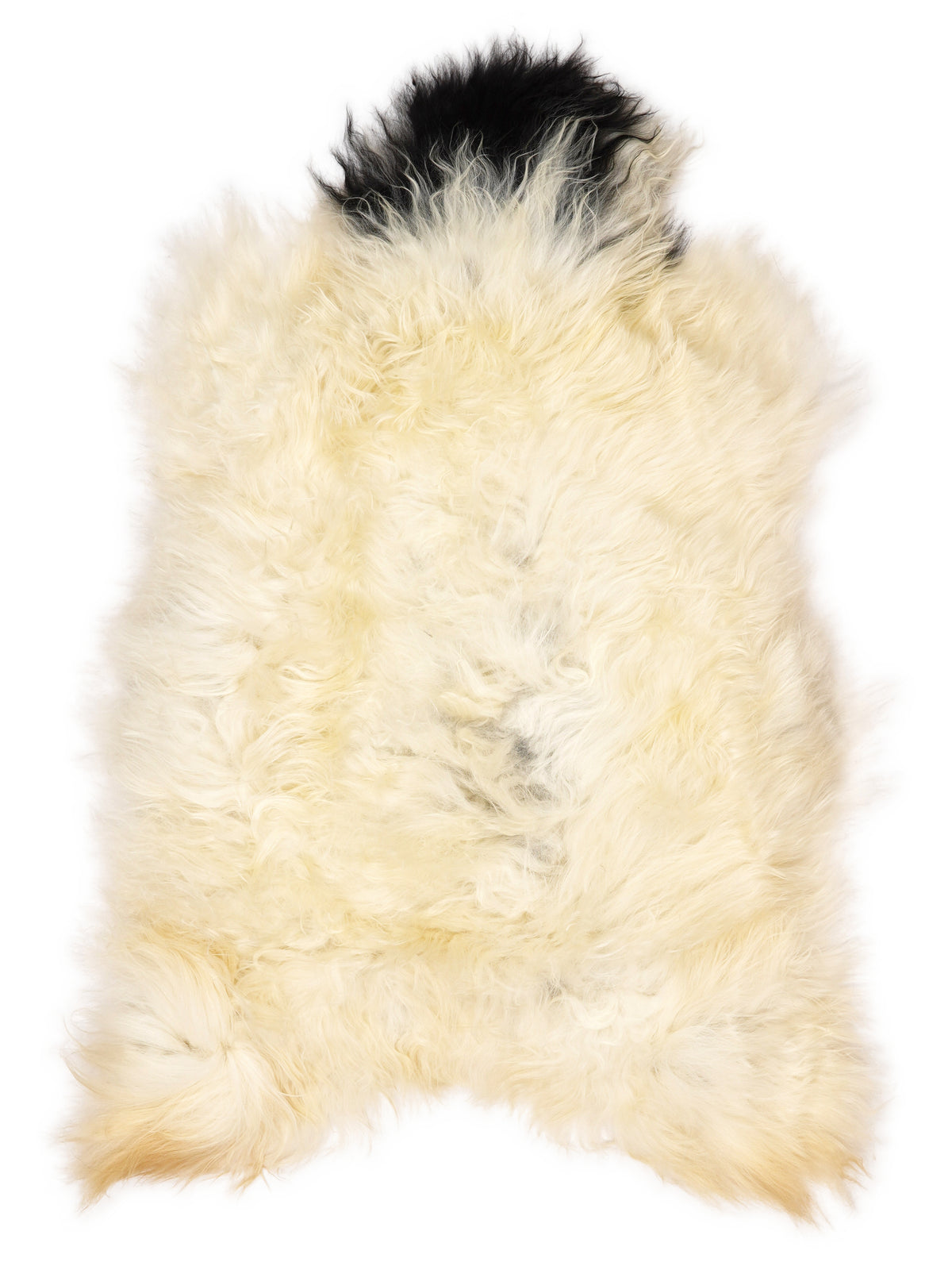 Peau de mouton islandaise multicolore d’environ 120 × 70 cm, vue de dessus : exactement la peau que vous recevez