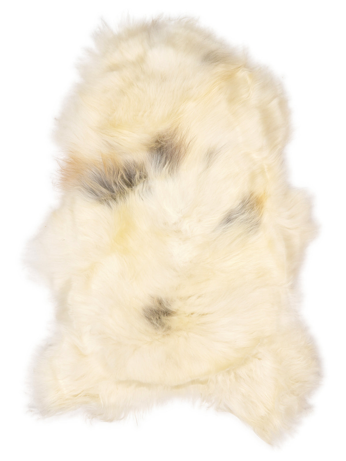 Peau de mouton islandaise multicolore d’environ 120 × 75 cm, vue de dessus : exactement la peau que vous recevez