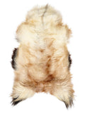Peau de mouton islandaise multicolore d’environ 125 × 70 cm, vue de dessus : exactement la peau que vous recevez
