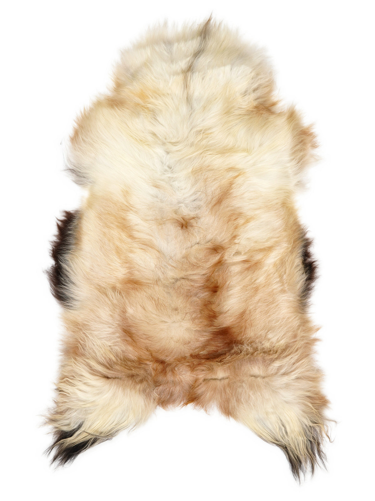 Peau de mouton islandaise multicolore d’environ 125 × 70 cm, vue de dessus : exactement la peau que vous recevez