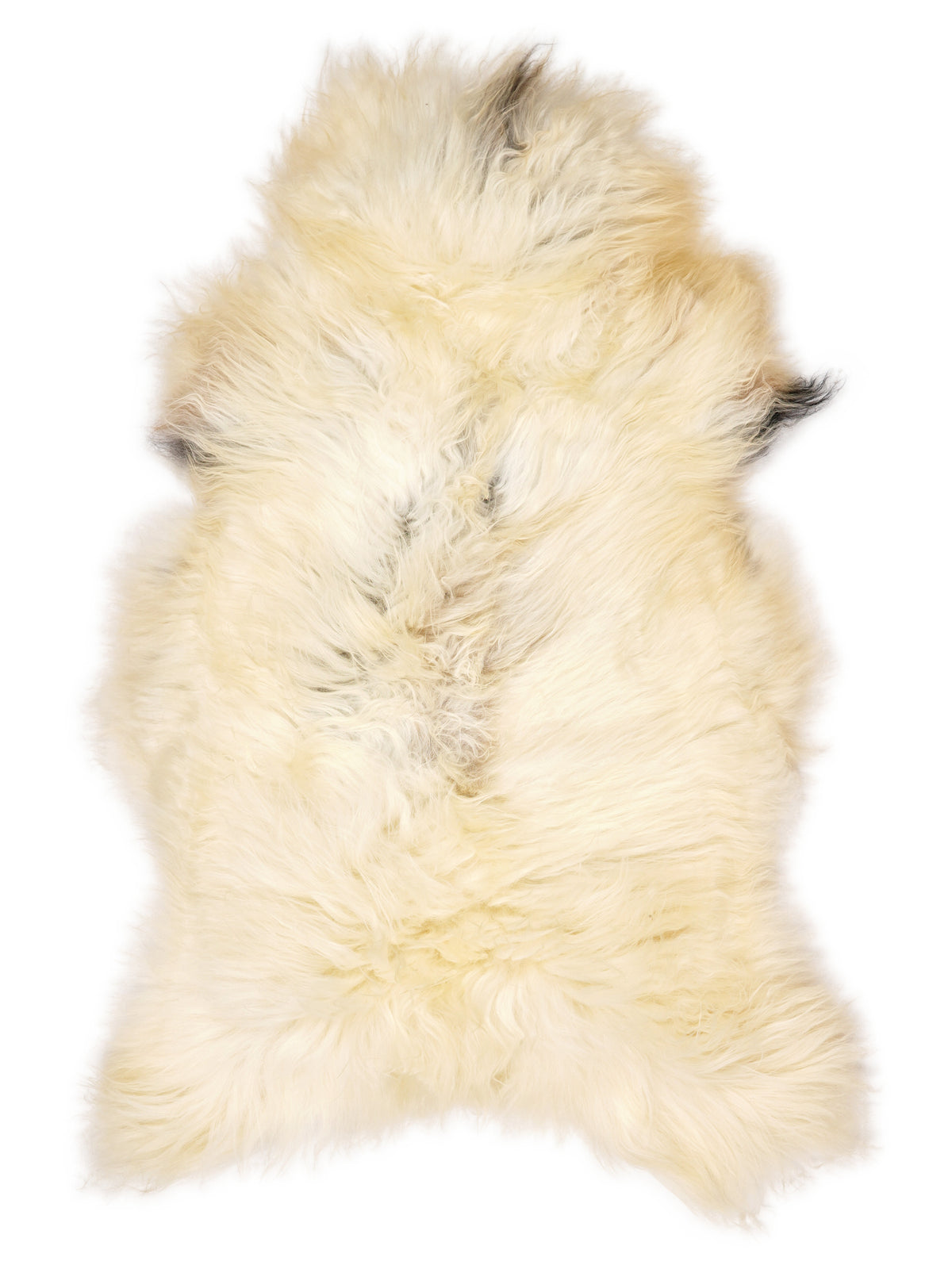 Peau de mouton islandaise multicolore d’environ 130 × 75 cm, vue de dessus : exactement la peau que vous recevez