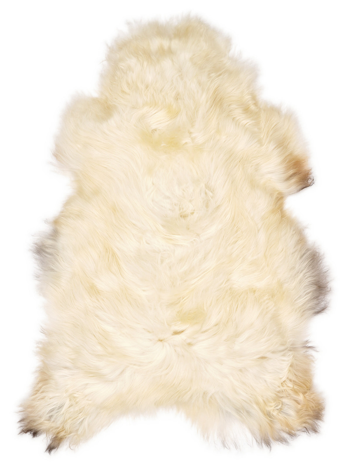 Peau de mouton islandaise multicolore d’environ 120 × 75 cm, vue de dessus : exactement la peau que vous recevez