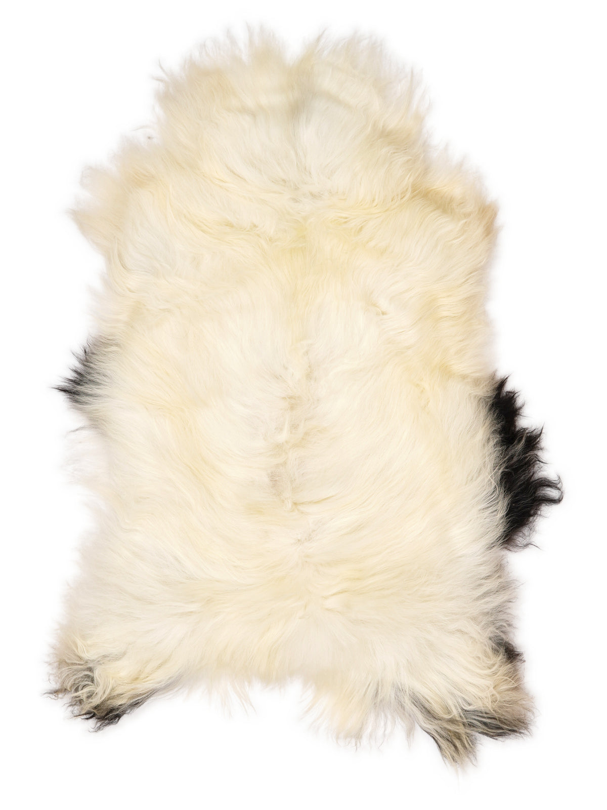 Peau de mouton islandaise multicolore d’environ 120 × 70 cm, vue de dessus : exactement la peau que vous recevez