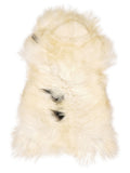 Peau de mouton islandaise multicolore d’environ 110 × 60 cm, vue de dessus : exactement la peau que vous recevez